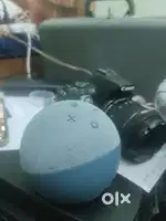 Alexa Echo Dot