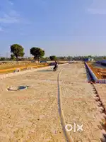 Freehold property colony in Tilapata Kailashpur Greater Noida