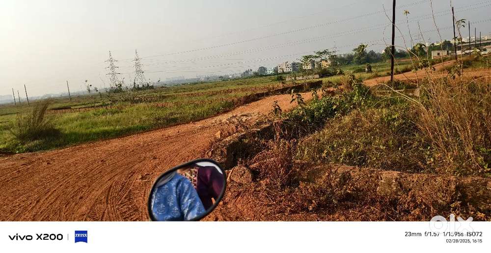 Allms hospital back side