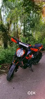 Duke 390 model 2023