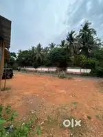 Free parking road side shop