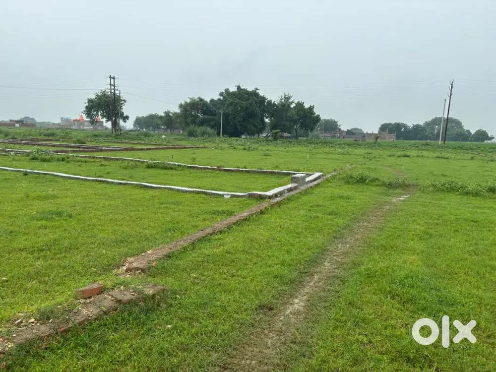 Plots are in Jhalwa for buld House or investment purpose