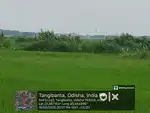 Nuabanta Mouza Tangibanta Plot Nearby Patia Station