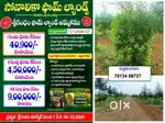 Start earning steady income from the 6th year onwards and secure a bri