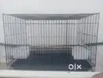 Black cage of bird