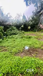3.5 ,7 cent house plot for sale @260000