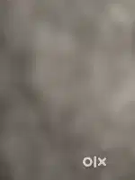 25x60 plot