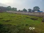 Residential plot