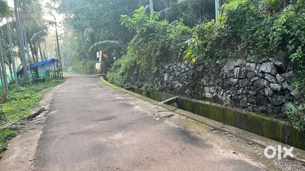 Palath eravannur 9 cnt plot with an old house for sale