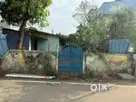 Our plot is located at surapet