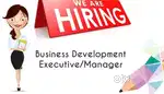 Business Development Executive