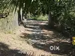 7cent residental property  for sale  Near Akkulam