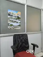 Girl Assistant need