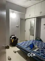 Need female flatmate for sharing