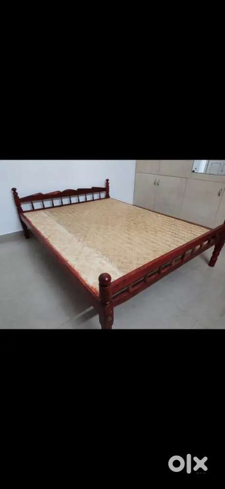 Kattil cots factory sale