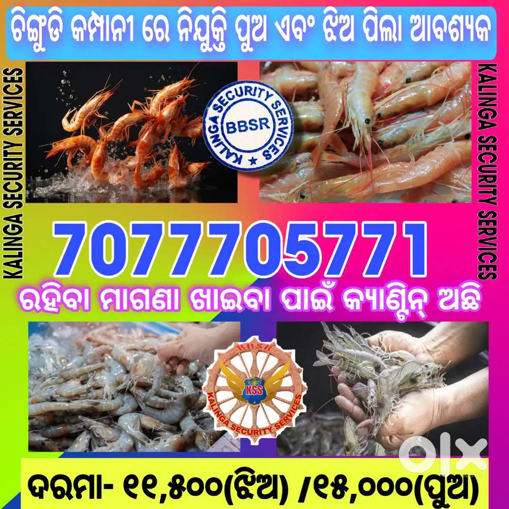 Chingudi company