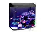 Aquarium Accessories
