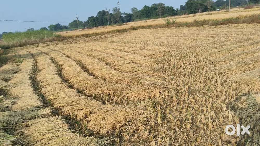 Meri khud ki jamin h medical College k pass sell Krna h