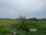 Comercial land on Bhind itawah highway