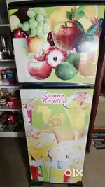 Bpl double door refrigerators with good condition