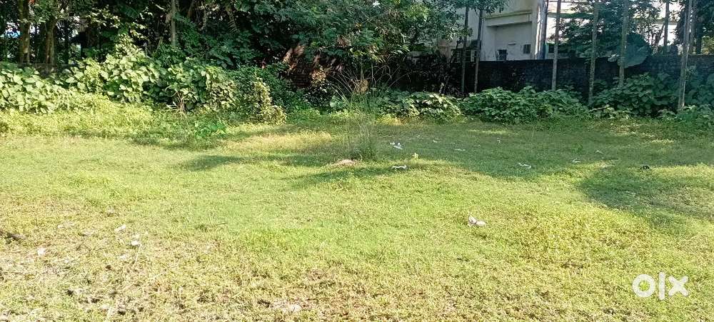 Arjat lad sale 2 kata 11 cotak .