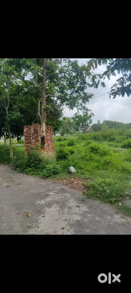 Harbhajwala sai vatika