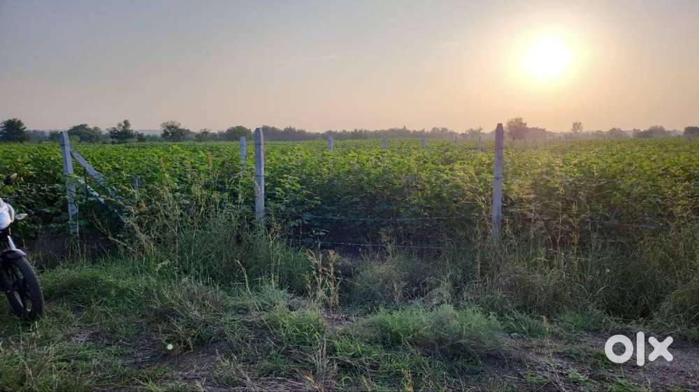 Agriculture Land for sale  Sangareddy Dist