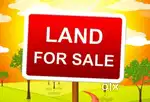 Emargency Half kotha land sale in low price (patia chubori)