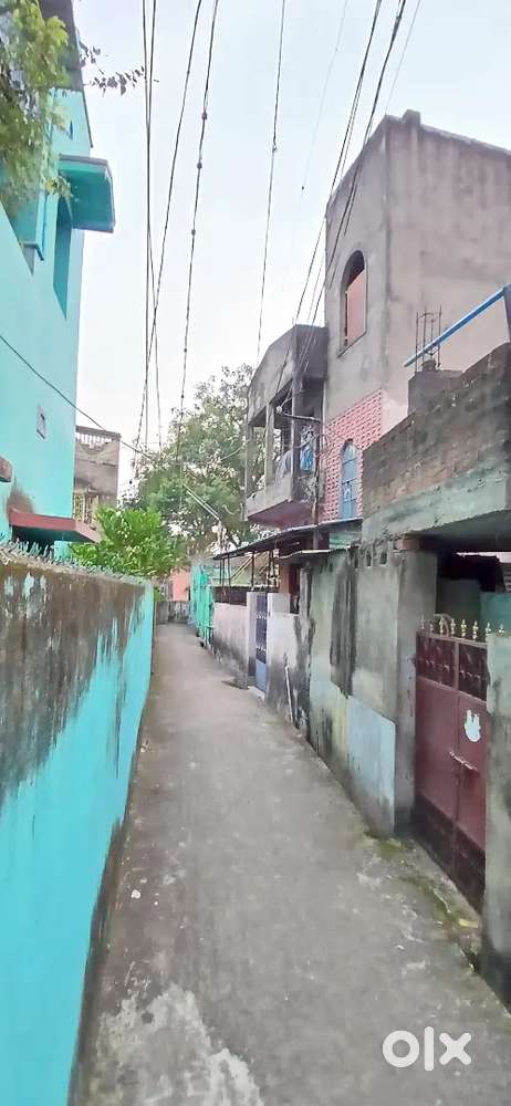 A little dream houses