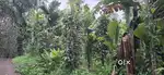Agricultural land