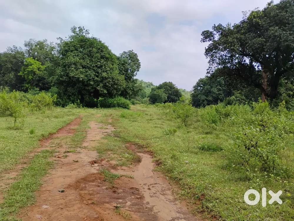 A very good property available