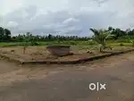15 cent plot near karukutty panthakal