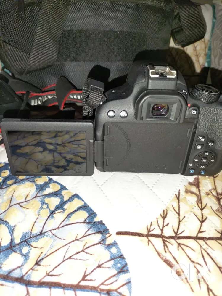 Canon EOS 800D + EF-S 18-55mm lens