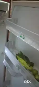 Fridge kelvinator