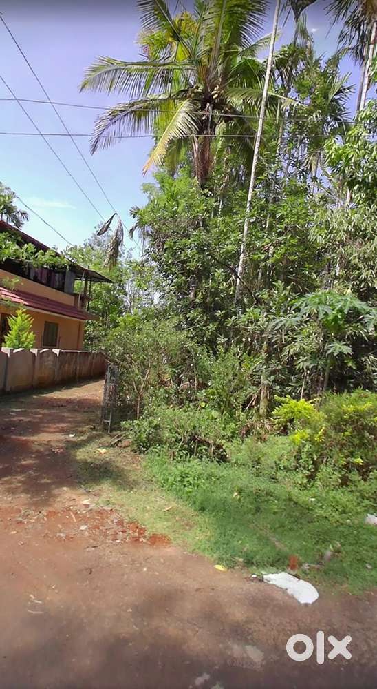 Premium 120-Cent Plot with Ancestral Home near Sulthan Bathery