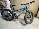 Raleigh big Sam