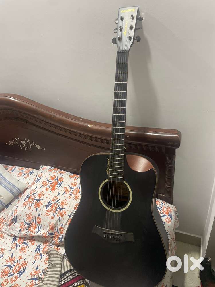 Semi Acoustic Guitar