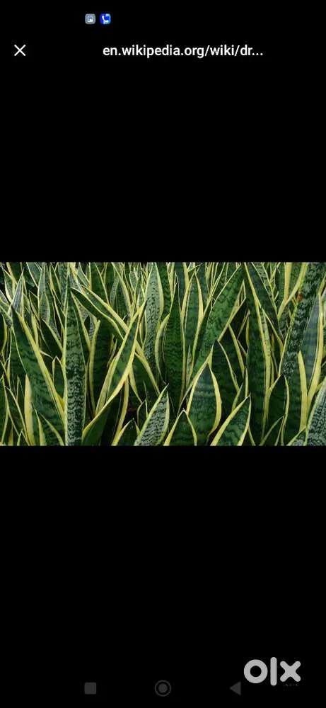 Free hold ga plot for sale