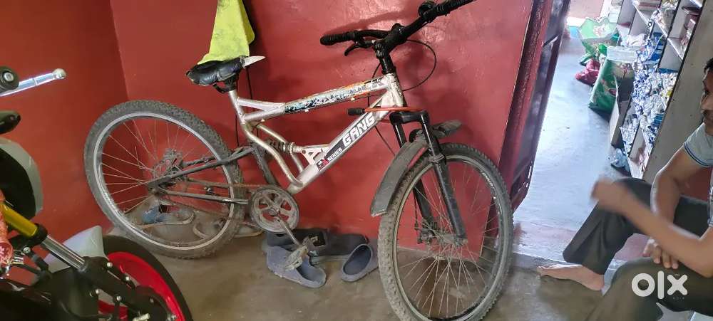 Gang x series cycle