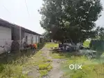 A 1000 sq ft land with a shed for rent