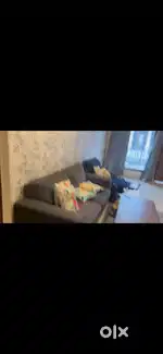 3 bhk newly built fully furnished flat for rent