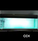 5ft aquarium