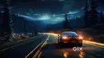Driver for IT COMPANY