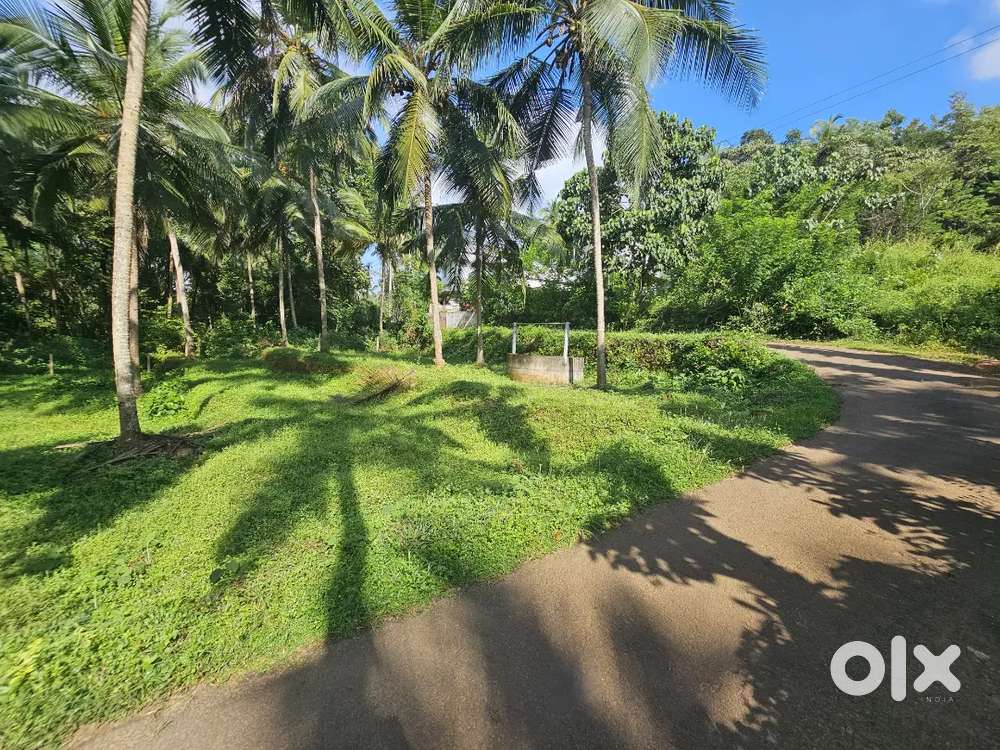 RESIDENTIAL PLOT FOR SALE