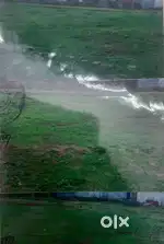 jaldi aao jaldi pao rate me koi batchit nahi
