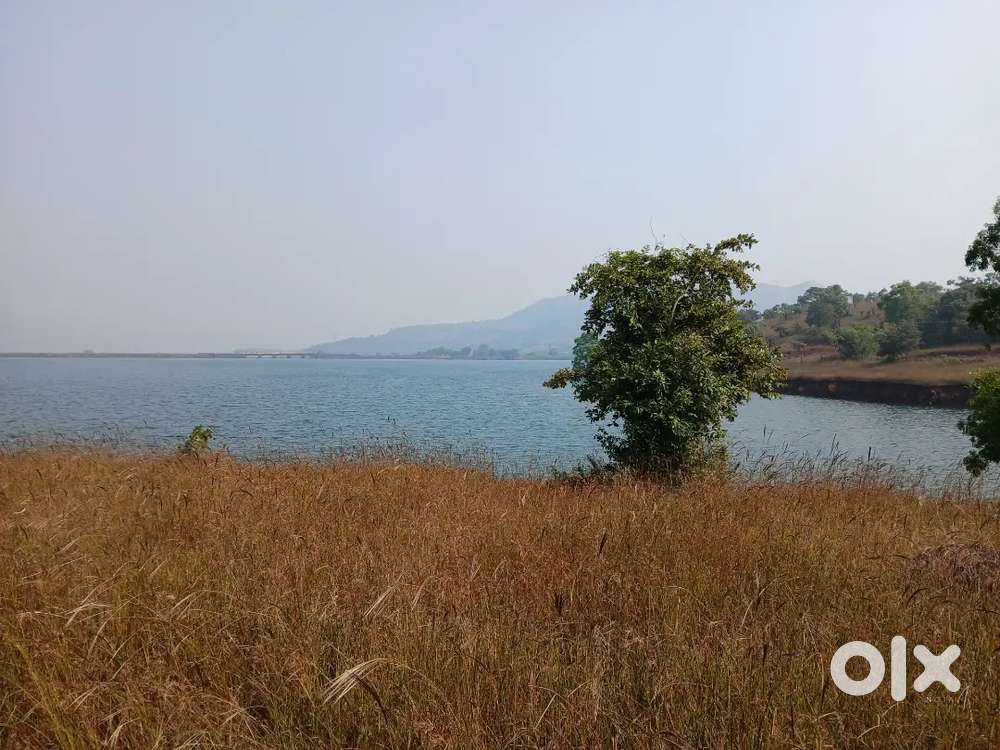 Farm house dam view plot