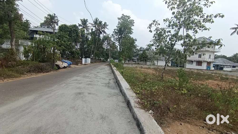 ANGAMALY THURAVOOR JUNCTION NEAR BY 5,6,8, 10 CENT PLOTS AVAILABLE