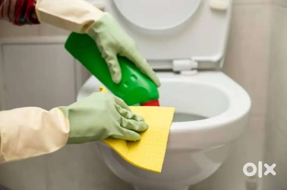 Best Toilet Cleaning  Service.