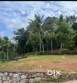 Plot near st Thomas public school. 7.25/ cent ,little negotiable