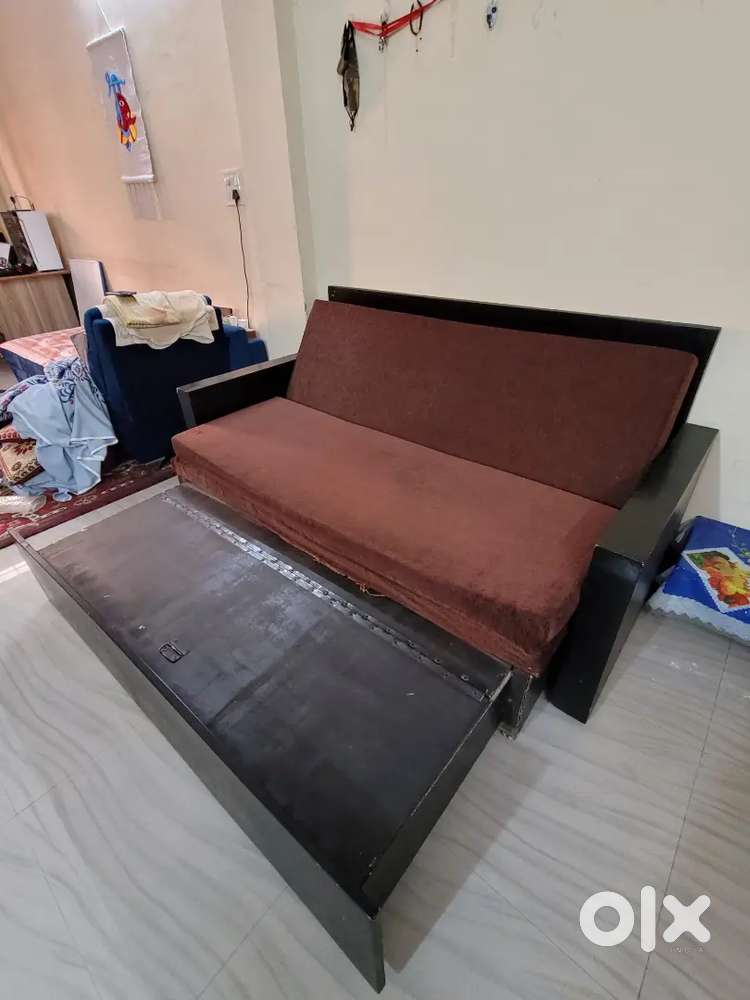 Sofa cum Bed
